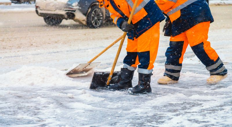 Snow Removal Pros